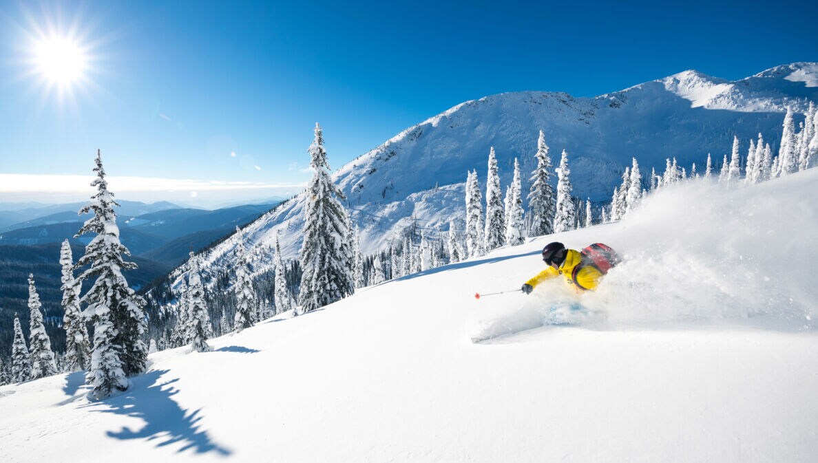 Ein Skifahrer fährt im Tiefschnee einen Hang mit Tannen hinunter vor verschneitem Bergpanorama unter blauem Himmel bei Sonnenschein.