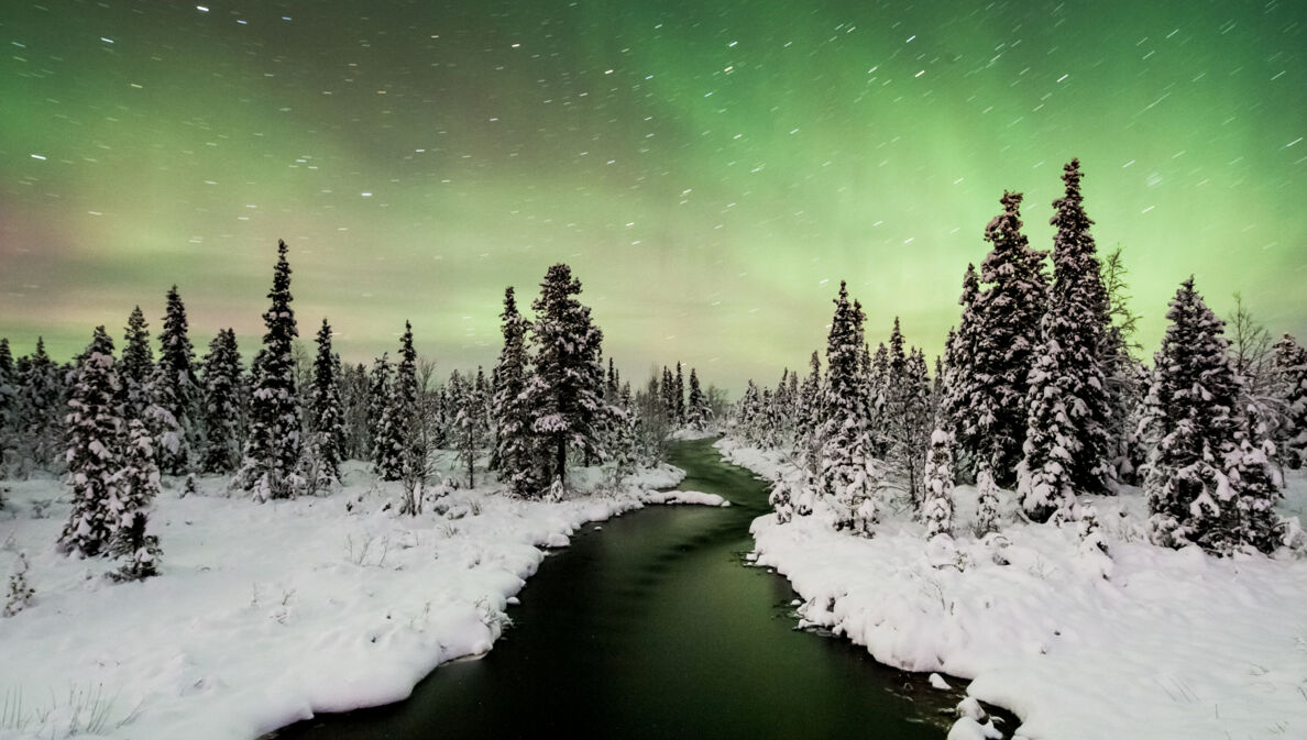 Schneebedeckter Fluss fließt durch einen Wald mit Tannen unter grünem Nordlicht am Himmel in Schweden.