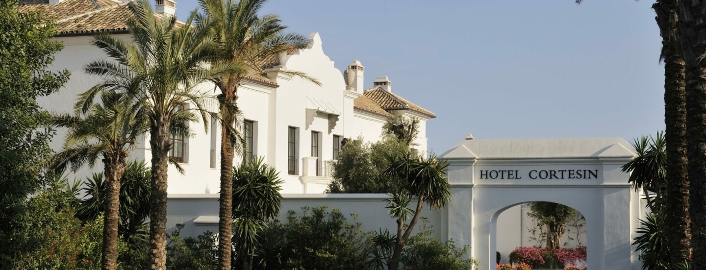 Eine Auffahrt zu einem Hotel, daneben Palmen