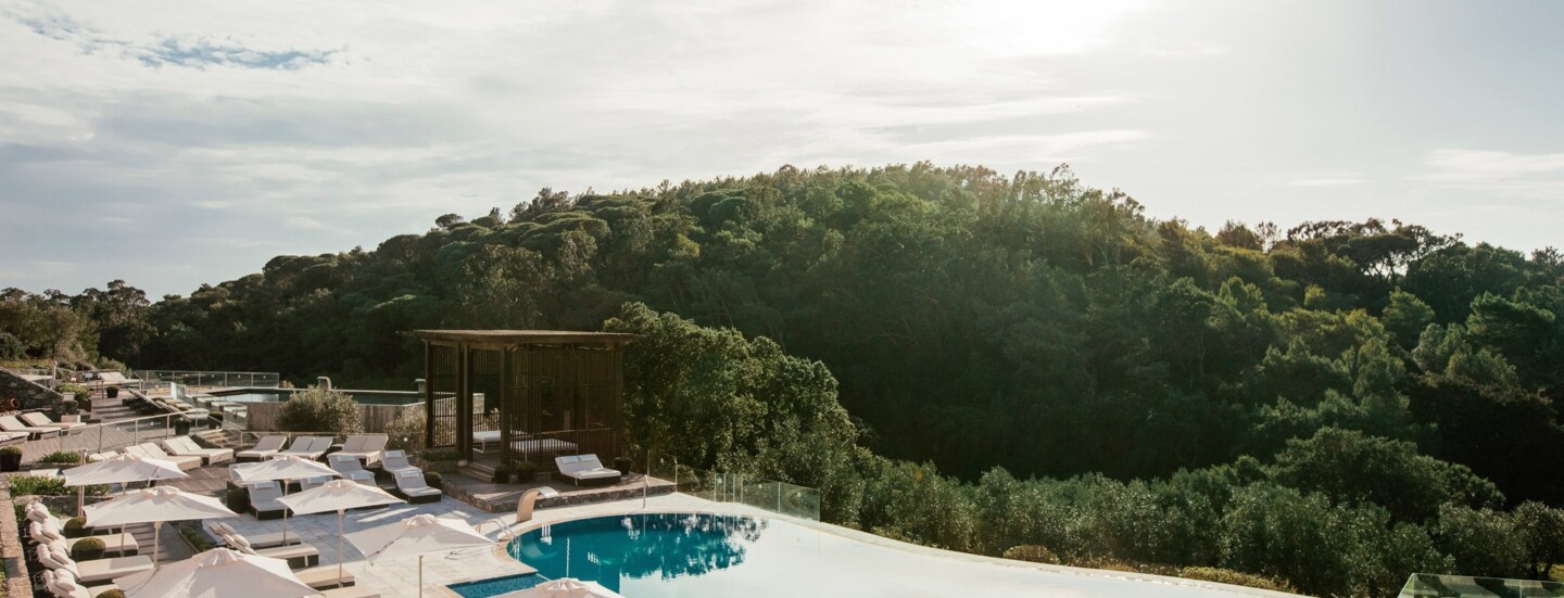 Ein Pool und Sonnenliegen in der Sonne, dahinter ein Wald