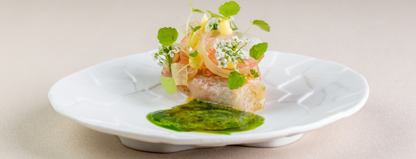 Ein weißer Porzellanteller, auf dem ein Stück Gelbschwanzmakele liegt, das mit Kräutern und anderen Zutaten getoppt und kunstvoll dekoriert ist, daneben ein Klecks grüne Soße.