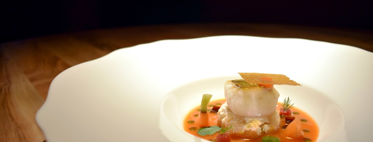 Ein Fischgericht, edel angerichtet auf einem großen weißen Teller.