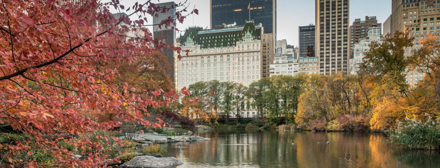 Blick von der Gaptow-Brücke des Central Parks im Herbst auf das Plaza Hotel, Bäume mit buntem Laub im Vordergrund.