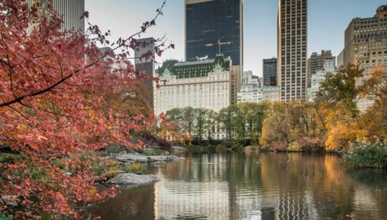 Blick von der Gaptow-Brücke des Central Parks im Herbst auf das Plaza Hotel, Bäume mit buntem Laub im Vordergrund.