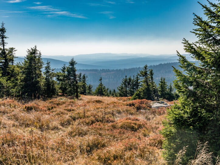 Harzlandschaft, der Brocken