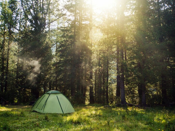 Ein Zelt steht auf einer Lichtung im Wald.