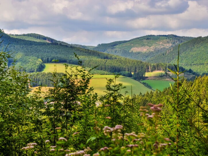 Eine Landschaft mit Bergen im Hintergrund