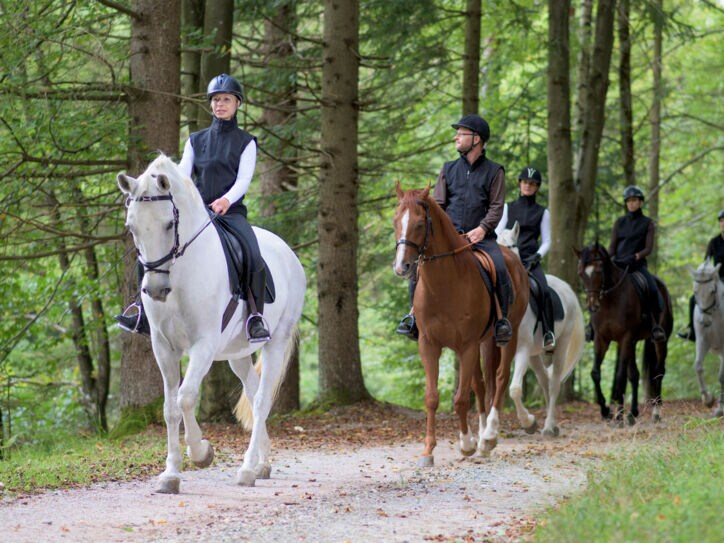 Eine Gruppe von reitenden Personen auf einem Waldweg