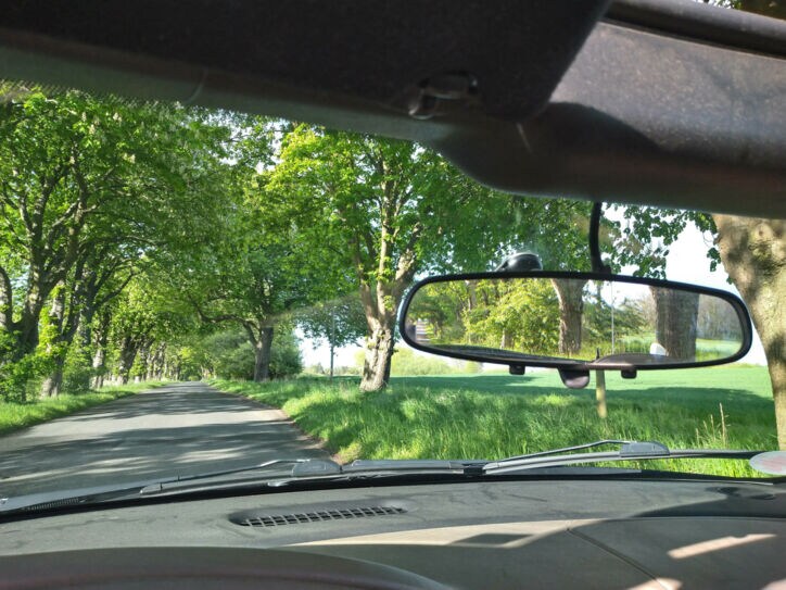 Blick durch die Frontscheibe eines Autos in die grüne Landschaft