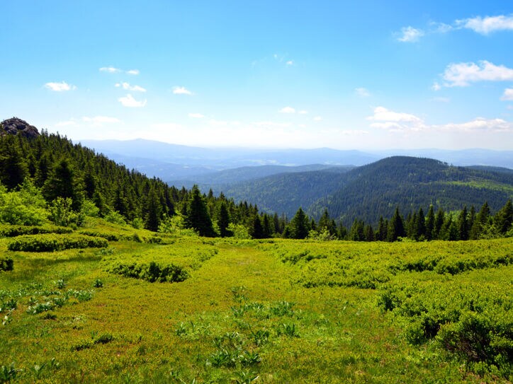 Blick von einem Berg über eine hügelige Berglandschaft