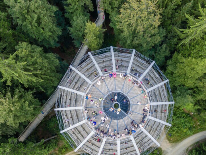 Luftaufnahme von einer Aussichtsplattform, die über die Baumkronen hinausragt