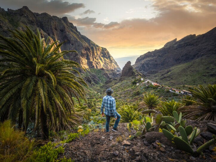 Rückansicht eines Mannes in einem Gebirge, inmitten tropischer Vegetation