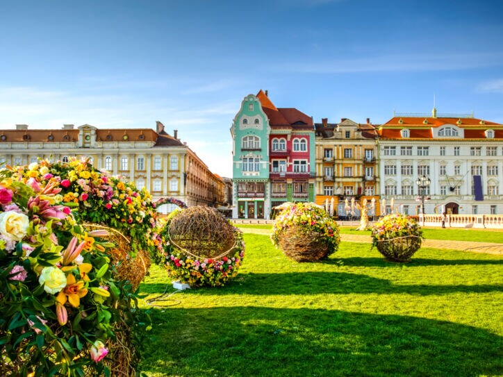 Gebäude und Blumendekor in Timisoara, Rumänien