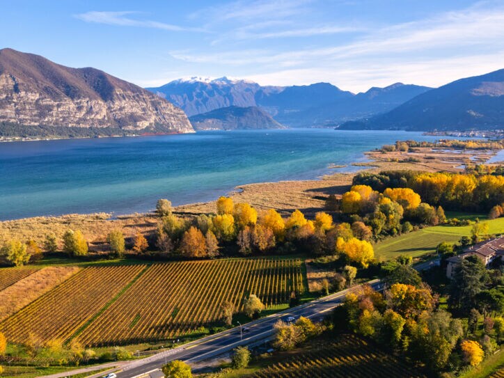 Weinbaugebiet an einem See vor Bergpanorama im Herbst