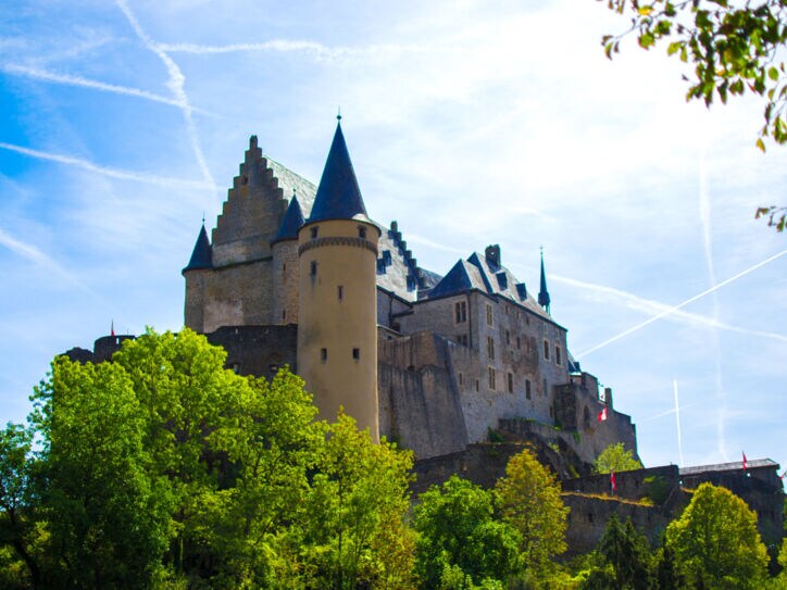 Eine von Bäumen umringte mittelalterliche Burg auf einer Anhöhe