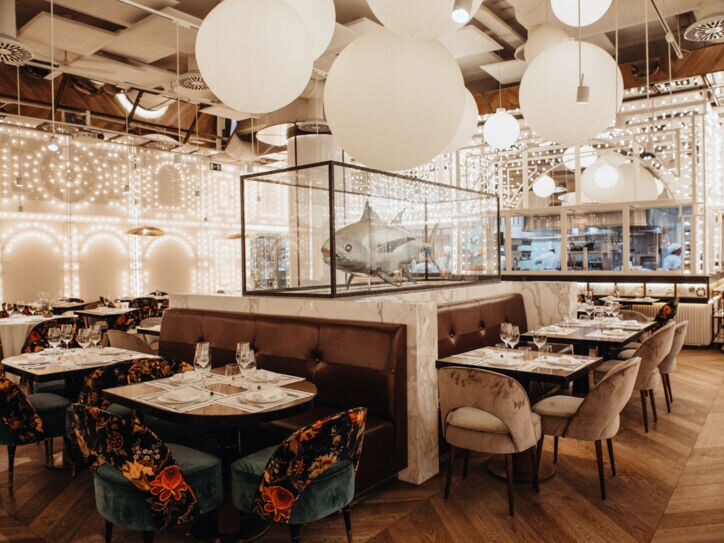 Modernes Restaurant mit zahlreichen Lichtern an Decke und Wänden, im Mittelpunkt eine Haifisch-Skulptur in einem Glaskasten.