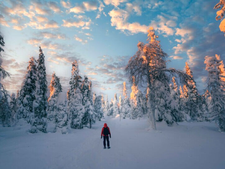 Eine Person von hinten in einem verschneiten Wald.