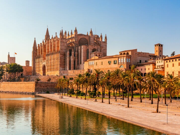 Gotische Kathedrale aus Sandstein hinter einer Parkanlage mit Palmen am Wasser unter blauem Himmel.