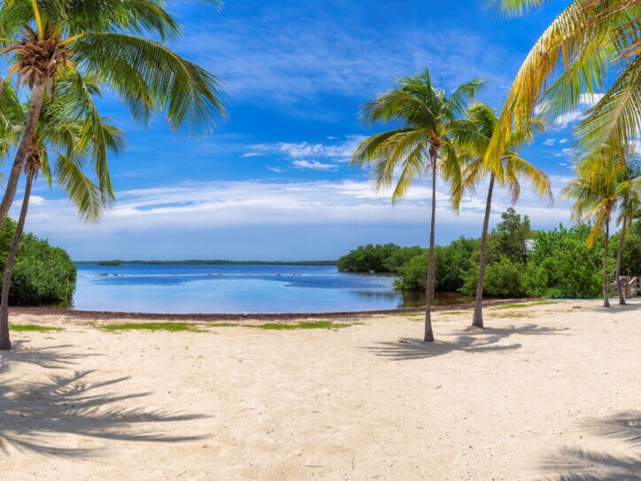 Weißer Sandstrand mit Palmen am türkisblauen Meer unter blauem Himmel.