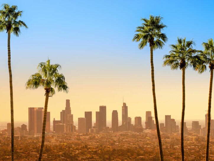 Skyline von Downtown Los Angeles im gelben Licht unter blauem Himmel, im Vordergrund fünf Palmen.