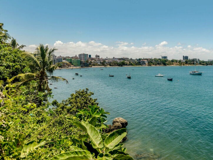 Küstenlinie mit grüner Vegetation und mehreren Booten auf ruhigem blauem Wasser unter bewölktem Himmel