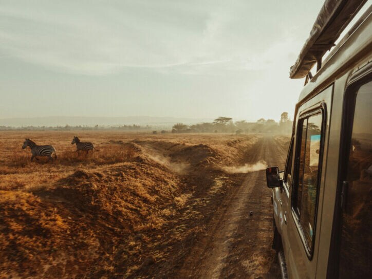 Safari-Fahrzeug fährt auf staubiger Piste durch afrikanische Savanne mit Zebras am Rand