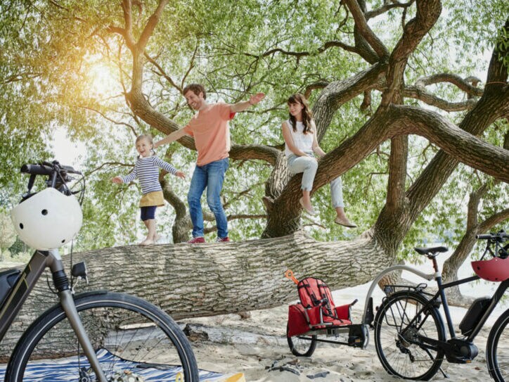 Ein Kind balanciert mit seinen Eltern auf einem umgestürzten Baumstamm im Wald, zwei E-Bikes mit Helmen stehen im Vordergrund.