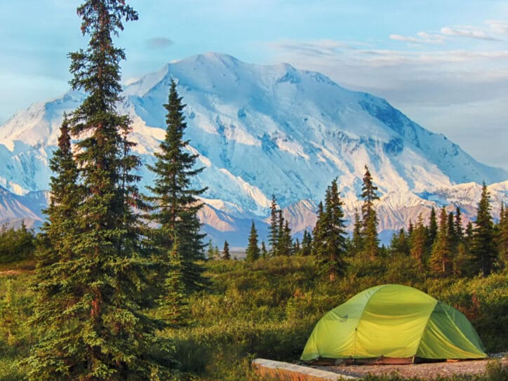 Grünes Zelt auf einer Wiese mit Nadelbäumen vor schneebedecktem Berg unter blauem Himmel
