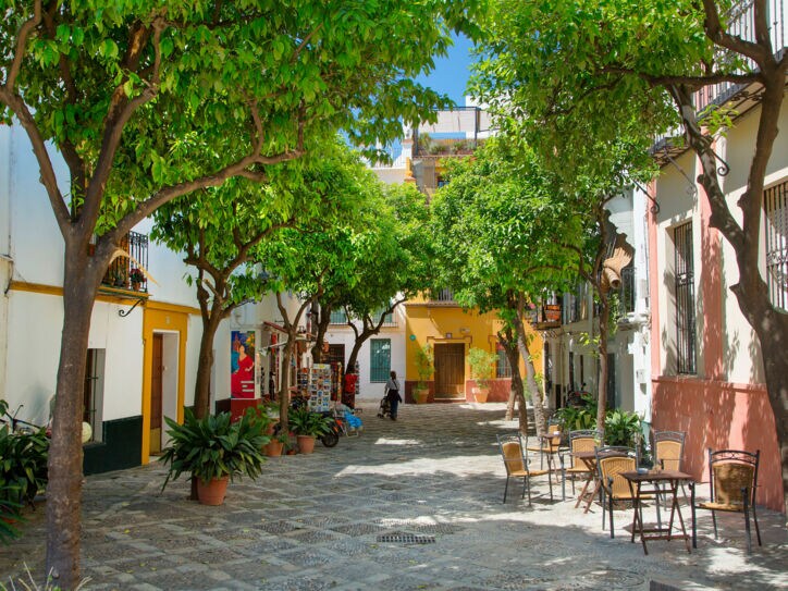 Über einem ruhigen urigen Platz in Sevilla spenden grüne Bäume Schatten.