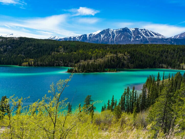 Blick auf den türkisfarbenen Emerald Lake im Yukon, mit grünem Nadelwald und schneebedeckten Bergen im Hintergrund.