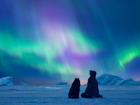 Person und Hund sitzen auf schneebedecktem Boden und blicken auf grün-violette Nordlichter am Nachthimmel in Finnland.