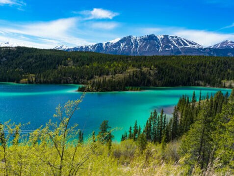 Blick auf den türkisfarbenen Emerald Lake im Yukon, mit grünem Nadelwald und schneebedeckten Bergen im Hintergrund.