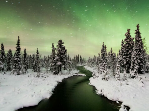 Schneebedeckter Fluss fließt durch einen Wald mit Tannen unter grünem Nordlicht am Himmel in Schweden.