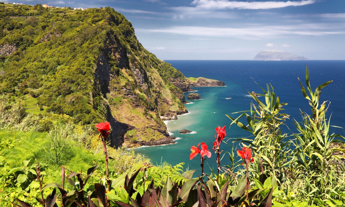 Panoramablick über die Klippen, das Meer und die Flora der Azoreninsel Flores