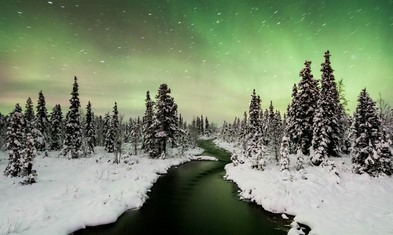 Schneebedeckter Fluss fließt durch einen Wald mit Tannen unter grünem Nordlicht am Himmel in Schweden.