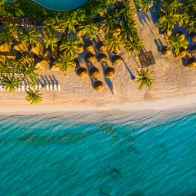 Tropischer Sandstrand mit Palmen und Badeliegen aus der Vogelperspektive