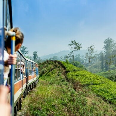 Ein Zug fährt entlang einer grünen Hügelkette, umgeben von Bäumen und Pflanzen. Im Vordergrund ist eine Hand zu sehen, die den Zug hält.