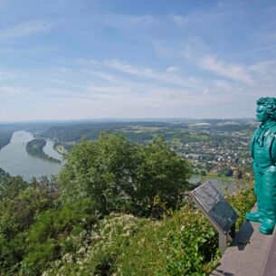 Blick von einem Aussichtsplateau auf das Rheintal mit einer kleinen Beethoven-Statue und grünen Pflanzen im Vordergrund
