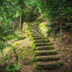 Steile, moosbewachsene Steintreppe im Wald