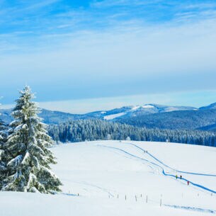 Eine bergige Schneelandschaft mit Skifahrer:innen im Hintergrund.