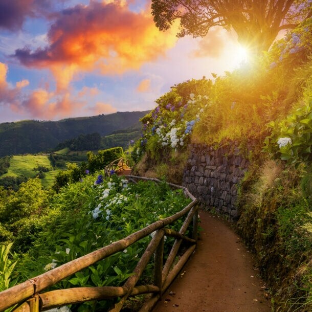 Panoramaweg mit blühender Vegetation mit Blick auf die felsige Küste der Azoreninsel São Miguel