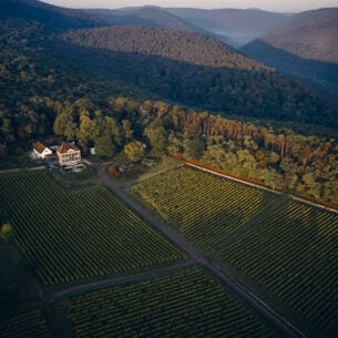 Luftaufnahme eines Weinbergs an dessen Rand ein weißes Gutshaus steht