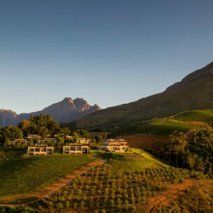 Das Anwesen eines Weinguts mit Weinbergen, eingebettet in eine grüne, hügelige Landschaft bei Abendsonne