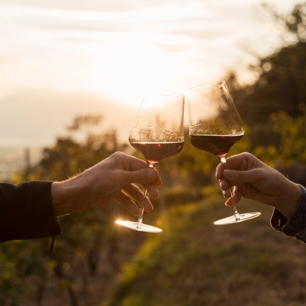 Zwei Hände klirren Rotweingläser in einem Weinberg bei Sonnenuntergang