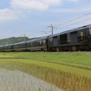 Ein schwarzer Zug fährt durch eine grüne Landschaft an einem Reisfeld entlang