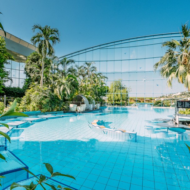 Eine von tropischen Pflanzen umgebene Outdoor-Poollandschaft vor einem verspiegeltem Gebäudekomplex