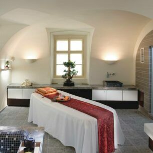 Innenansicht eines Raumes mit Massageliege, Möbeln und Zimmerpflanzen