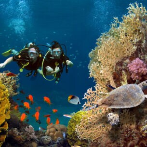 Zwei Taucherinnen erkunden ein Korallenriff