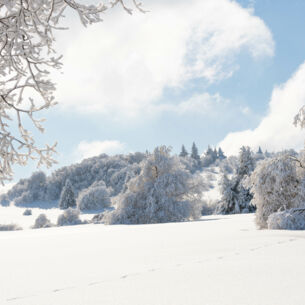 Blick auf eine schneebedeckte Landschaft mit Bäumen