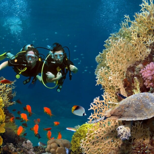 Zwei Taucherinnen erkunden ein Korallenriff